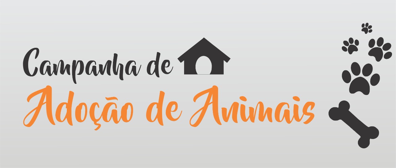 Campanha 3