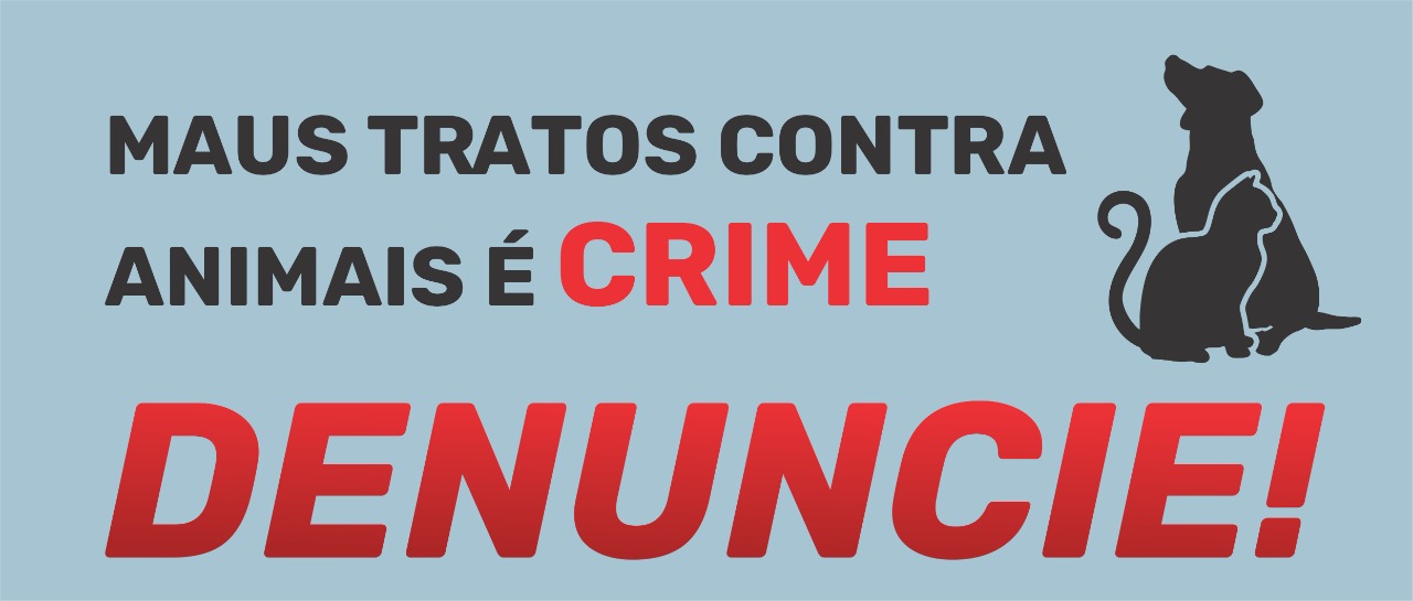 Maus Tratos contra animais